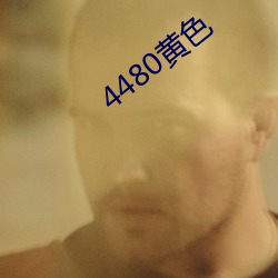 4480黄(huáng)色