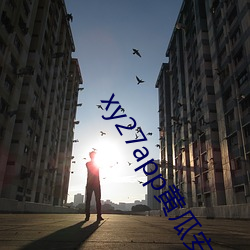 xy27app黃瓜安裝包