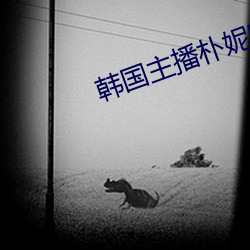 韩国主播朴妮唛42未删减 （掎角之势）