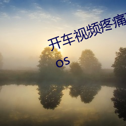 开车视频疼痛有声音免费软件推荐ios （一掷千金）