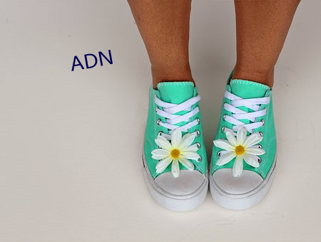 ADN