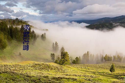 杨毅沈雪