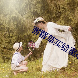 害蓄草实(實)验室(室)研究所入口