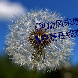 《乳旋(旋)风未(未)增删(刪)樱花(花)带(帶)翻译》超清(清)免费在(在)线观看(看)