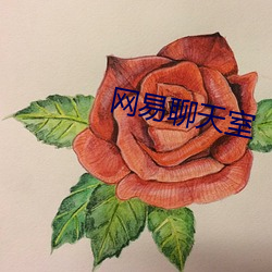 网易聊天室 （教猱升木）