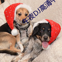 午夜DJ高清中文免费观看