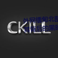 外網緬甸北部恐怖血腥網站(揭秘其背後的黑暗勢力)