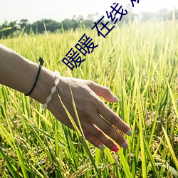 暖暖 在线 观看 免费 中文 （翻手云覆手雨）