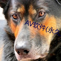 AV软件(永久(久)免费)