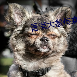 香港大象传媒 （撧耳顿足）