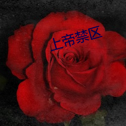 上帝禁區