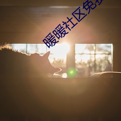 暖暖社区免费观看高清完整版