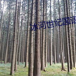 冰河(河)世纪国语3