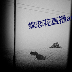 蝶恋(liàn)花直播app视频