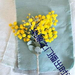 华(華)豫之门(門)播出时(時)间