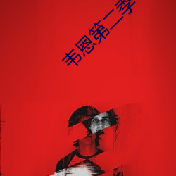 韦恩第二季