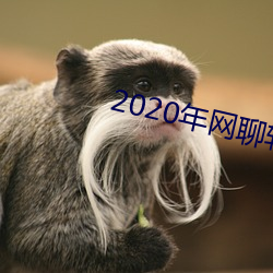 2020年网聊软 牌子