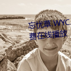 忘憂草.WYC.APK1055完整版免費在線播放