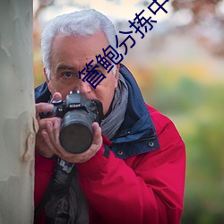 管鲍分拣中心(xīn)芒果(guǒ)