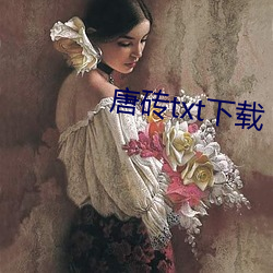 唐砖txt下载