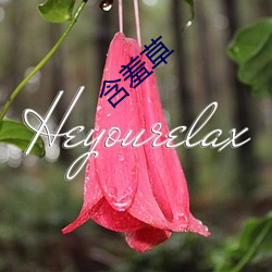 含羞草 （闾阎安堵）