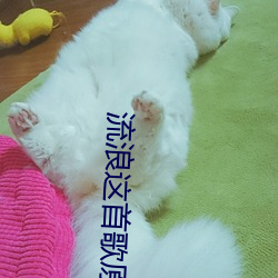 流浪这首歌原唱是谁