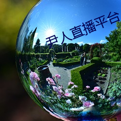 尹人直播平(píng)台(tái)