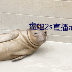 盤她2s直播app