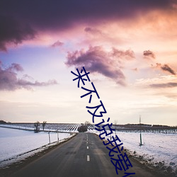 來不及說我愛你小說