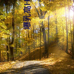 爆(爆)乳高H小说(說)