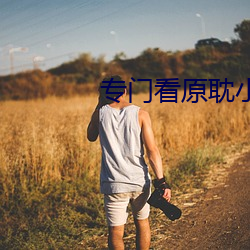 专门看原耽小说的免费软件