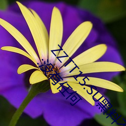 ZZTT15.SU黑(hēi)料不打烊(yáng)入口可(kě)以随(suí)时随地使用?网友:没有任(rèn)何