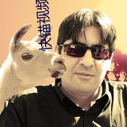 快锚视频网页版(bǎn)直接路口