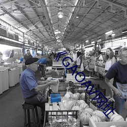 《GAOAV网址(址)