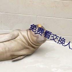 免费看交换人(人)生电(電)影(影)