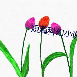 短篇科幻小說
