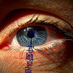 有一种爱叫做放手吉他谱