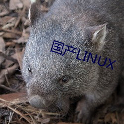 LINUX