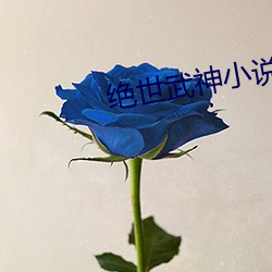 绝世武神小说