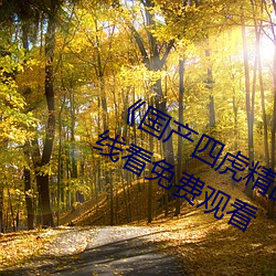 《国产四虎精品8848hh》高清视频在线看免费观看