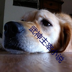 尊龙凯时-人生就是搏!