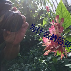 为什么最后要顶两下 （积岁累月）