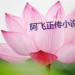 阿飞正传小说完整版下载