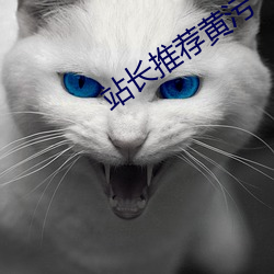 站長推薦黃汙
