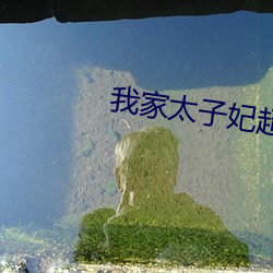 我家太(太)子妃(妃)超(超)凶(凶)的