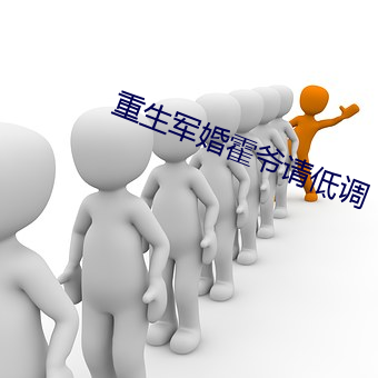 重生军婚霍爷请低调