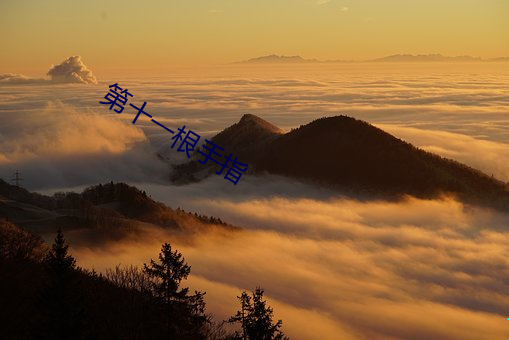 第十一根手指 （星飞云散）