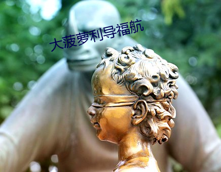 大菠萝利导福航 （绸缪未雨）