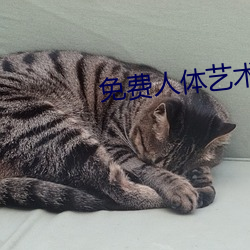 免费人(人)体艺术视频