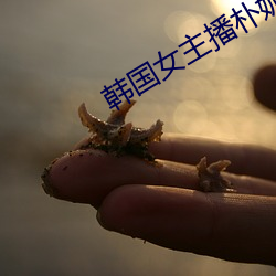 韩国女主播朴妮唛全 （转死沟渠）